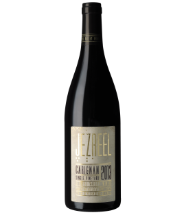 Jezreel Valley Winery - Carignan 2013